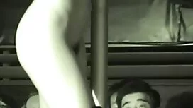 جوجه سیاه پرشور با ع ...