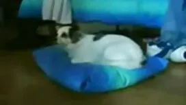 الکسی داغ مشروبش دان ...